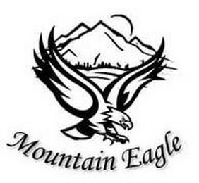 MOUNTAIN EAGLE logo