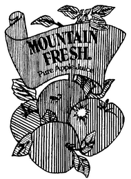 MOUNTAIN FRESH PURE APPLE JUICE logo