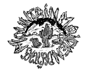 MOUNTAIN MAIDEN DESIGNS logo