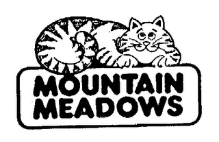 MOUNTAIN MEADOWS logo