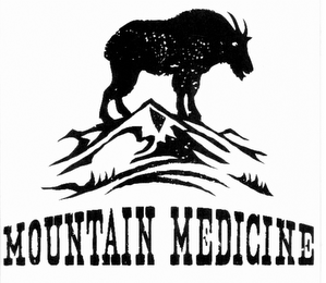MOUNTAIN MEDICINE logo