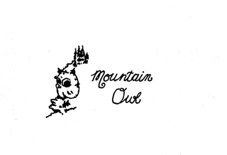 MOUNTAIN OWL logo