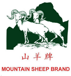 MOUNTAIN SHEEP BRAND logo