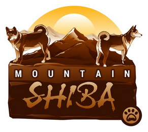 MOUNTAIN SHIBA logo