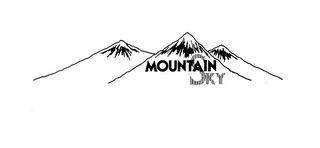 MOUNTAIN SKY logo