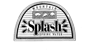 MOUNTAIN SPLASH SPRING WATER logo