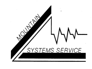 MOUNTAIN SYSTEMS SERVICE logo