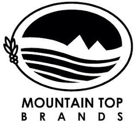 MOUNTAIN TOP BRANDS logo