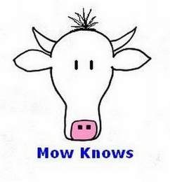 MOW KNOWS logo