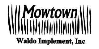 MOWTOWN WALDO IMPLEMENT, INC logo