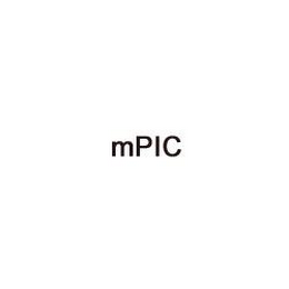 MPIC logo