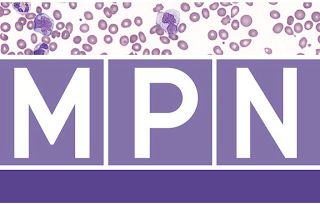 MPN logo