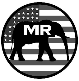 MR logo