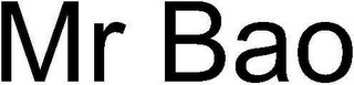 MR BAO logo