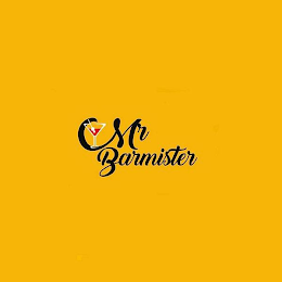 MR BARMISTER logo