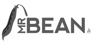 MR BEAN logo