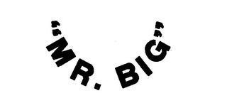MR. BIG logo
