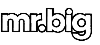 MR. BIG logo