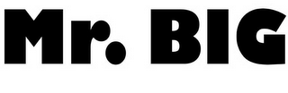 MR. BIG logo