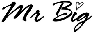 MR BIG logo