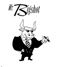 MR. BIGSHOT logo