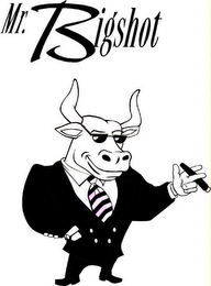 MR BIGSHOT logo