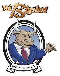 MR. BIGSHOT MR. BIGSHOT logo