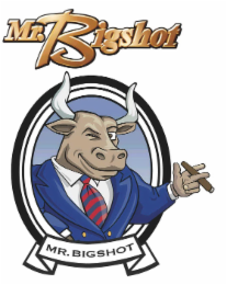 MR. BIGSHOT MR. BIGSHOT logo
