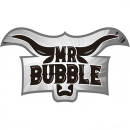 MR BUBBLE logo
