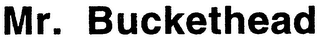 MR. BUCKETHEAD logo
