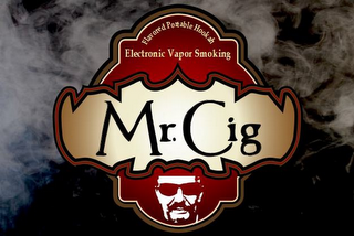 MR. CIG ELECTRONIC VAPOR SMOKING FLAVORED PORTABLE HOOKAH logo