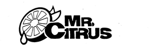 MR. CITRUS logo