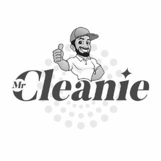 MR CLEANIE logo