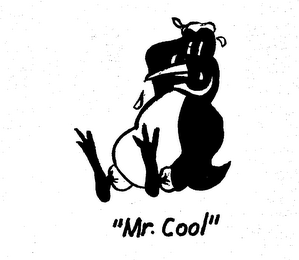 "MR. COOL" logo