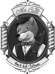 MR. CURL HAIR GEL-SERUM logo