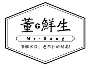 MR · DONG logo