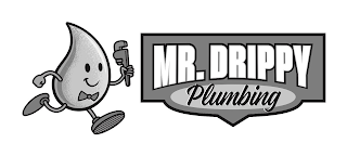 MR. DRIPPY PLUMBING logo