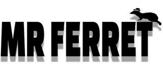 MR FERRET logo