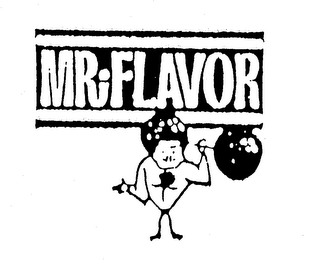 MR FLAVOR logo