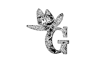 MR G logo