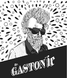 MR. GASTON'IC logo