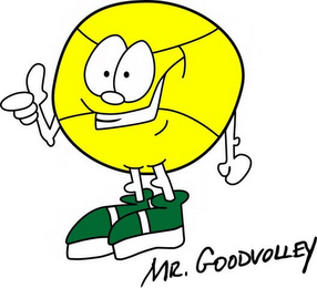 MR. GOODVOLLEY logo