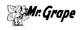 MR. GRAPE logo