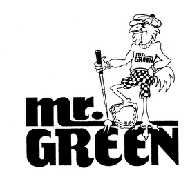 MR. GREEN logo