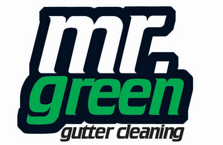 MR. GREEN GUTTER CLEANING logo