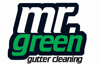 MR. GREEN GUTTER CLEANING logo