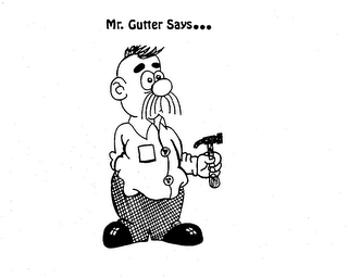 MR. GUTTER SAYS... logo