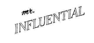 MR. INFLUENTIAL