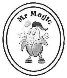 MR MAGIC logo