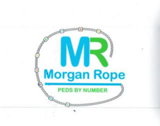 MR MORGAN ROPE PEDS BY NUMBER logo